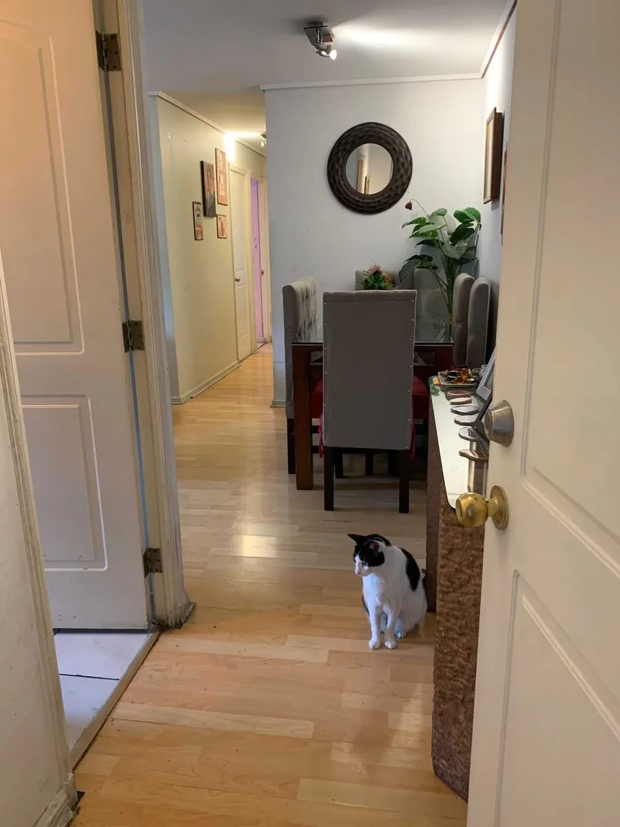 Departamento en venta en Av. Independencia